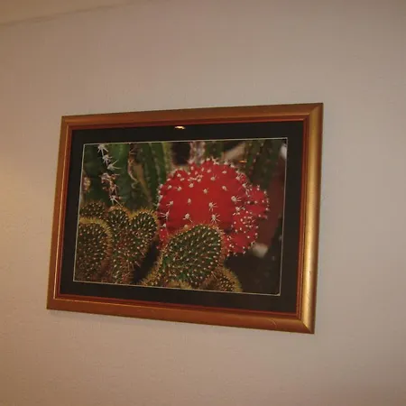 Vistanova Apartment Vrdnik