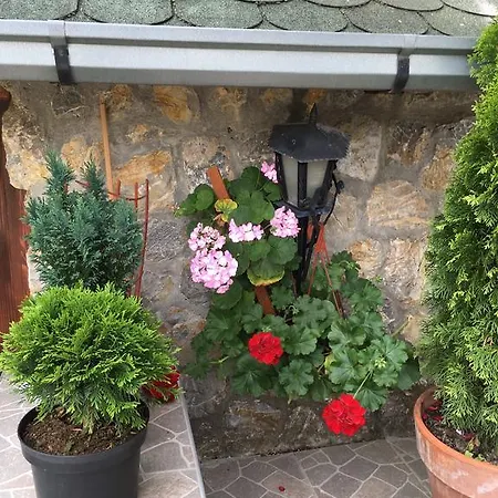 Apartment Vistanova Vrdnik