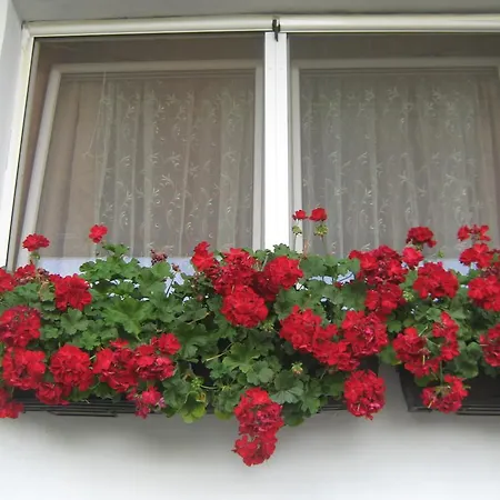 Vistanova Apartamento