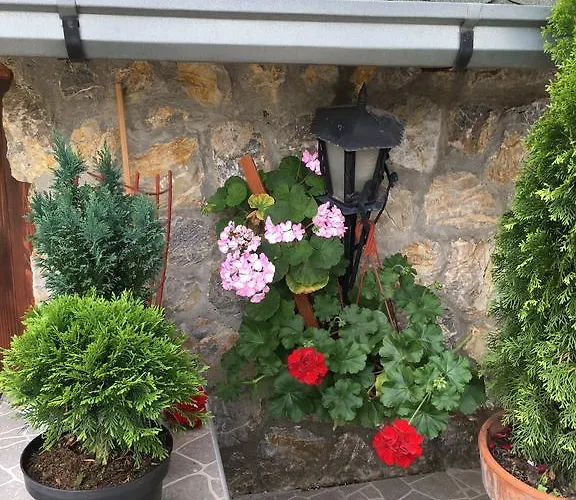 Apartment Vistanova Vrdnik